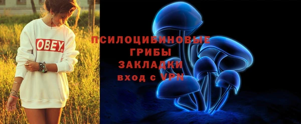 ПСИЛОЦИБИНОВЫЕ ГРИБЫ Волосово