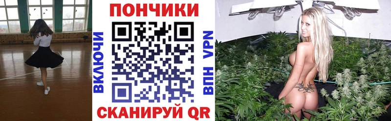 Купить где  Верхотурье  Бошки марихуана планчик 